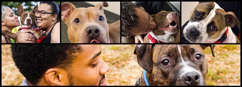 UPLOAD YOUR GROUP PICTURE HERE!